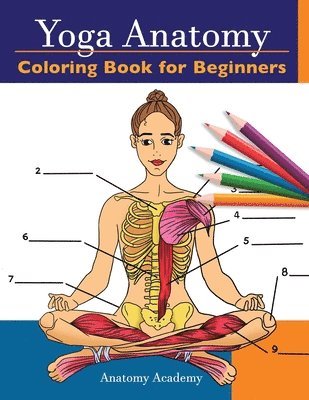 bokomslag Yoga Anatomy Coloring Book for Beginners