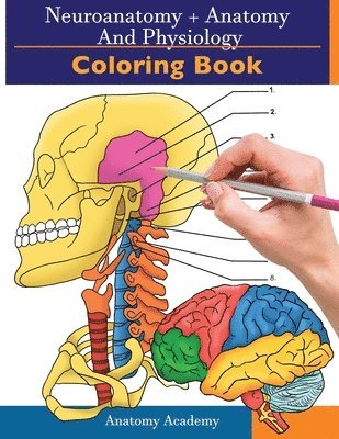 bokomslag Neuroanatomy + Anatomy and Physiology Coloring Book