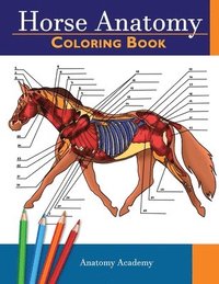 bokomslag Horse Anatomy