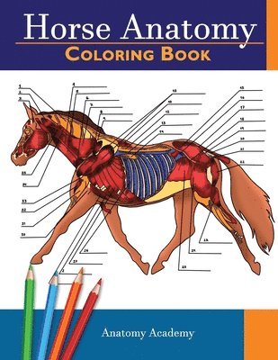 Horse Anatomy 1