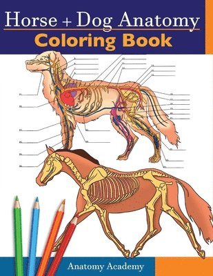 Horse + Dog Anatomy Coloring Book 1