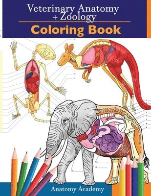 bokomslag Veterinary & Zoology Coloring Book