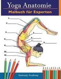 bokomslag Yoga-Anatomie-Malbuch für Experten