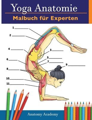 bokomslag Yoga-Anatomie-Malbuch fr Experten