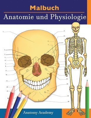 bokomslag Malbuch Anatomie und Physiologie