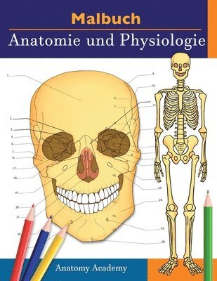 Malbuch Anatomie und Physiologie 1
