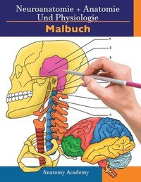 bokomslag Neuroanatomie + Anatomie und Physiologie Malbuch