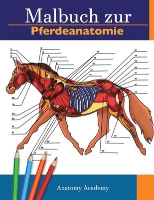 Malbuch zur Pferdeanatomie 1