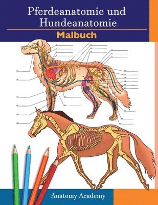 Anatomy Academy - Farbbuch für Pferde- und Hundeanatomie, Häftad