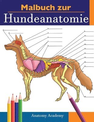 bokomslag Malbuch zur Hundeanatomie