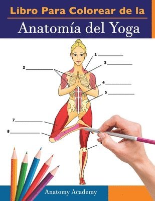 Libro Para Colorear de la Anatomia del Yoga 1