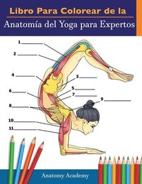 bokomslag Libro Para Colorear de la Anatoma del Yoga para Expertos