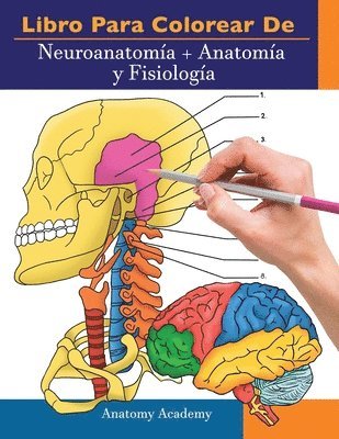 bokomslag Libro para colorear de Neuroanatoma + Anatoma y Fisiologa