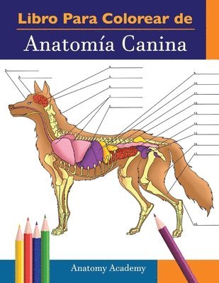 bokomslag Libro para colorear de Anatoma Canina