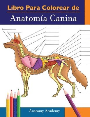 bokomslag Libro para colorear de Anatomía Canina