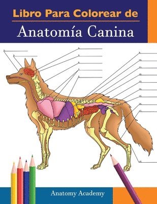 Libro para colorear de Anatomia Canina 1