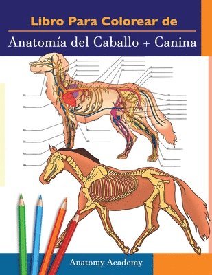 bokomslag Libro para colorear de Anatoma del Caballo + Canina