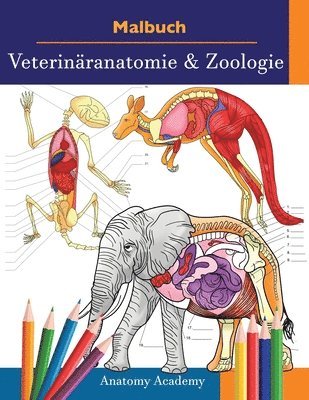Anatomy Academy - Malbuch Veterinäranatomie & Zoologie, Häftad