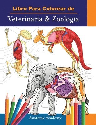 bokomslag Libro Para Colorear de Veterinaria & Zoologa