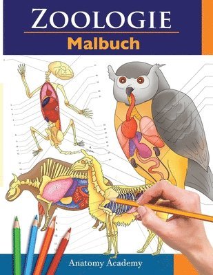 Anatomy Academy - Zoologie Malbuch, Häftad