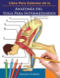 bokomslag Libro Para Colorear de la Anatoma del Yoga Para Intermediarios