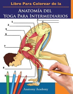 Libro Para Colorear de la Anatomia del Yoga Para Intermediarios 1