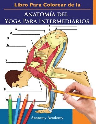 Libro Para Colorear de la Anatomía del Yoga Para Intermediarios