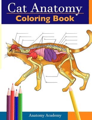 bokomslag Cat Anatomy Coloring Book