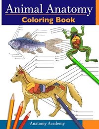 bokomslag Animal Anatomy Coloring Book