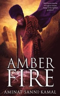 bokomslag Amber Fire
