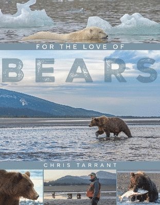 For The Love Of Bears 1