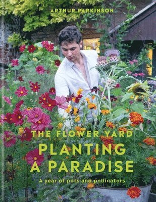 Planting a Paradise 1