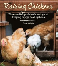 bokomslag Raising Chickens