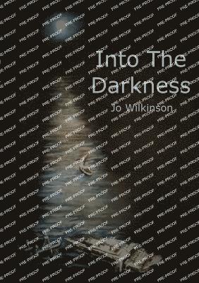 bokomslag Into the Darkness