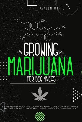 Growing Marijuana for Beginners
