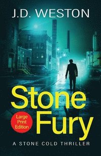 bokomslag Stone Fury