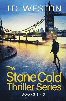 bokomslag Stone Cold Thriller Series Books 1 - 3