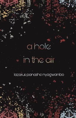 Lazarus Panashe Nyagwambo - Hole in the Air, Häftad