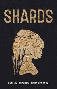 bokomslag Shards