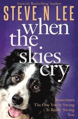 Steve N Lee - When The Skies Cry, Häftad