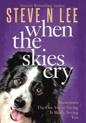 Steve N Lee - When The Skies Cry, Inbunden