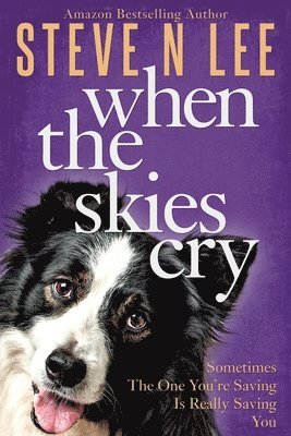 Steve N Lee - When The Skies Cry, Häftad