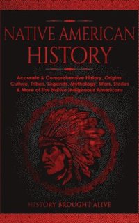 bokomslag Native American History