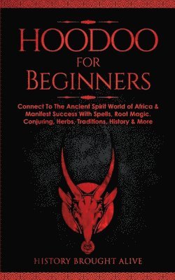 bokomslag Hoodoo for Beginners