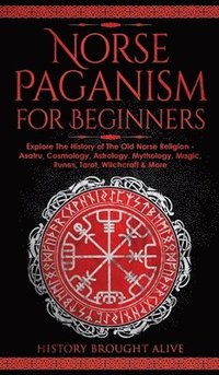 bokomslag Norse Paganism for Beginners