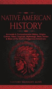bokomslag Native American History