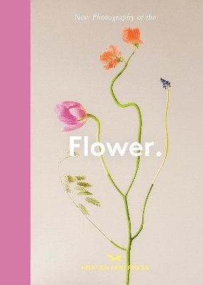 Hoxton Mini Press, Lucy Davies - Flower., Inbunden