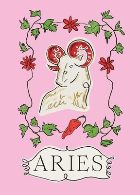 bokomslag Aries