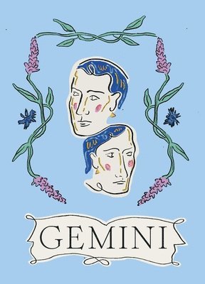 bokomslag Gemini