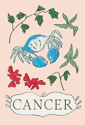 bokomslag Cancer